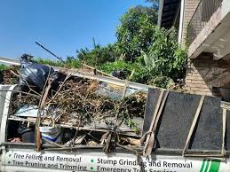 Best Junk Removal for Events  in Hallsville, TX